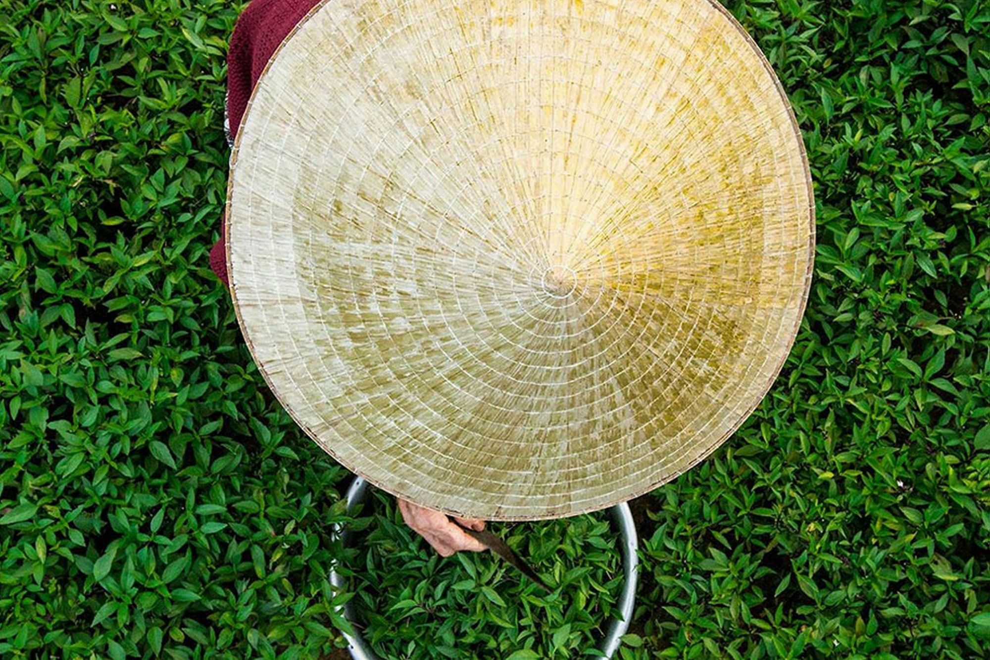 Cam Nam Homestay Hoi An Exterior foto